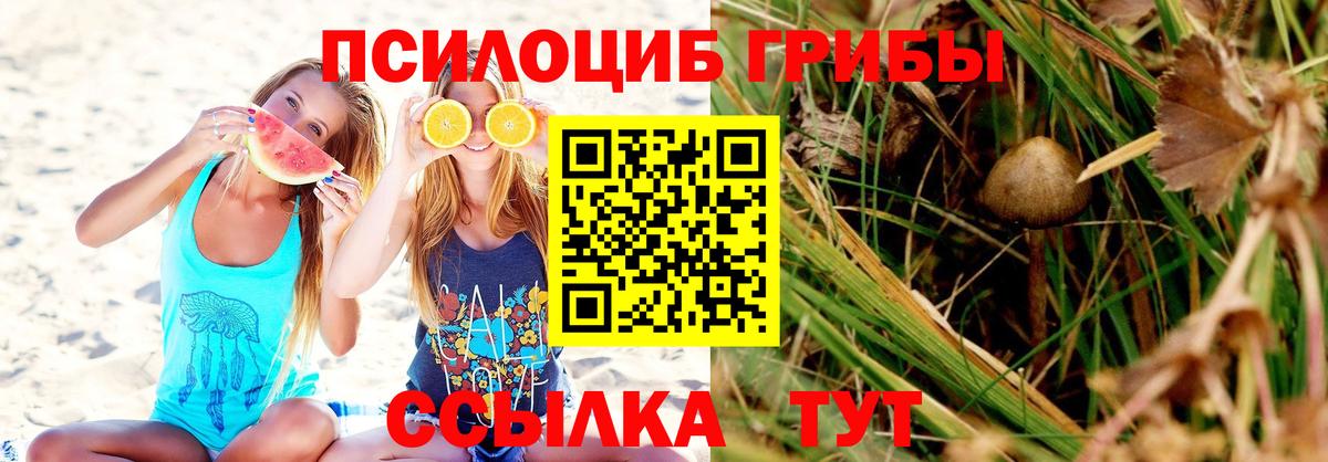 Псилоцибиновые грибы Magic Shrooms Назарово