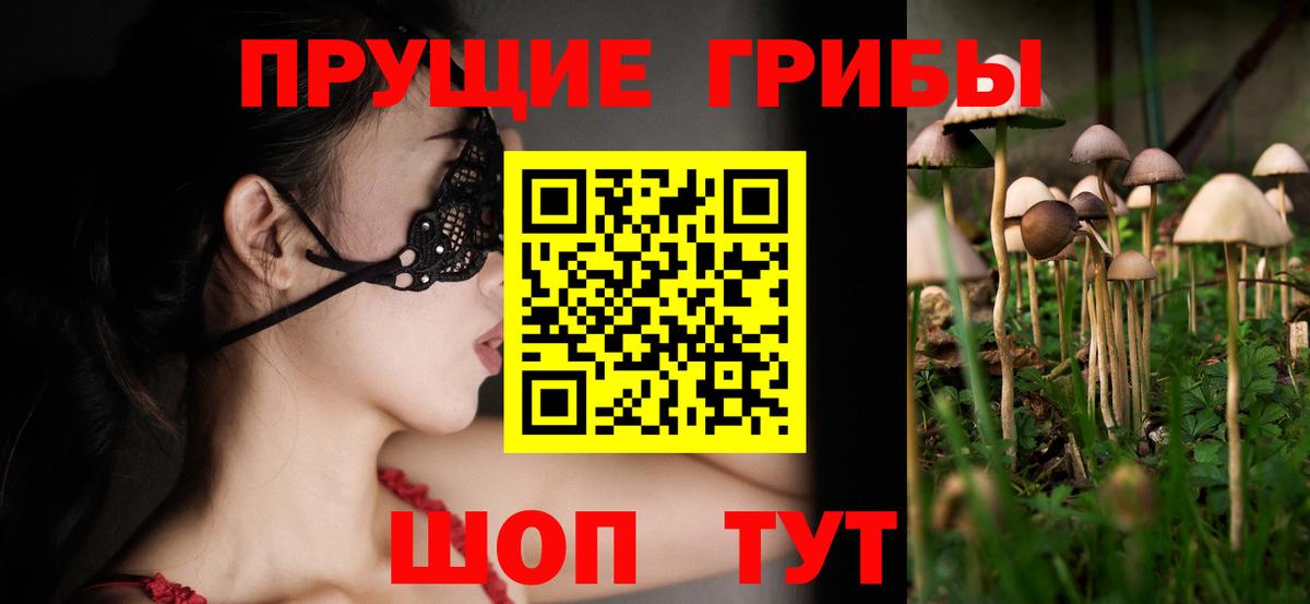 Псилоцибиновые грибы Psilocybe  Вход с VPN  купить   Назарово 